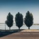 three