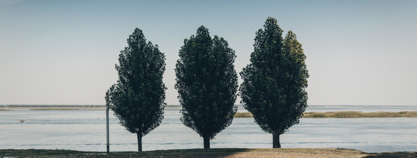 three