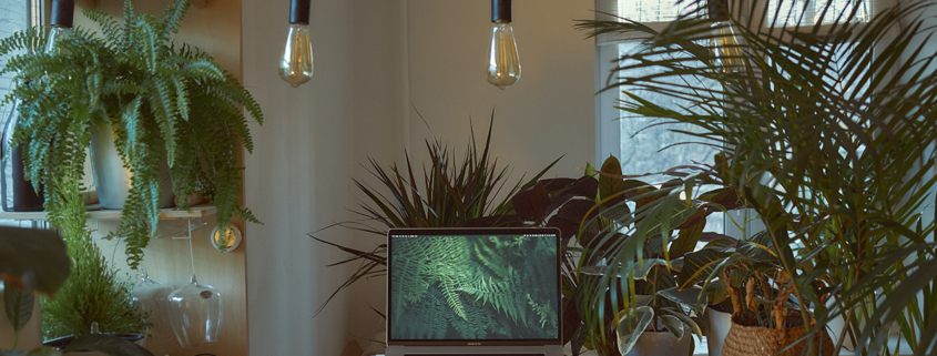 remote work